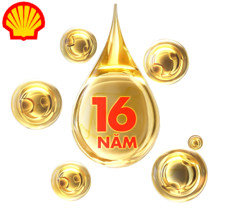 Shell 16 Year